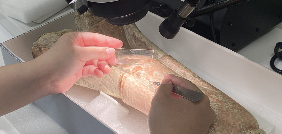 sampling pigment polychome figurine under microscope