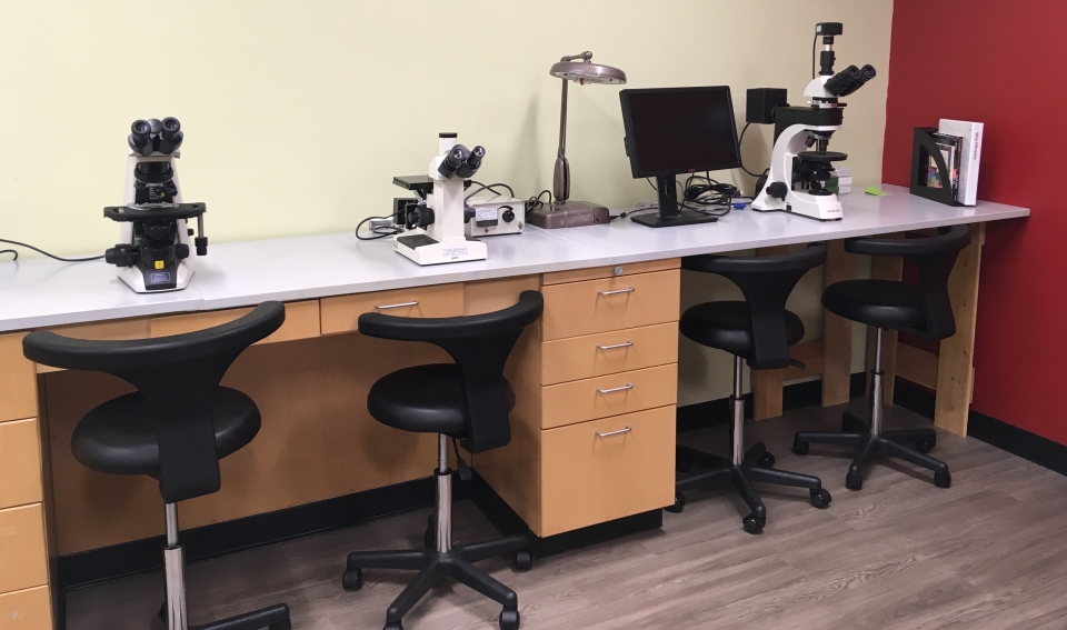 image of lab bench with microscopes
